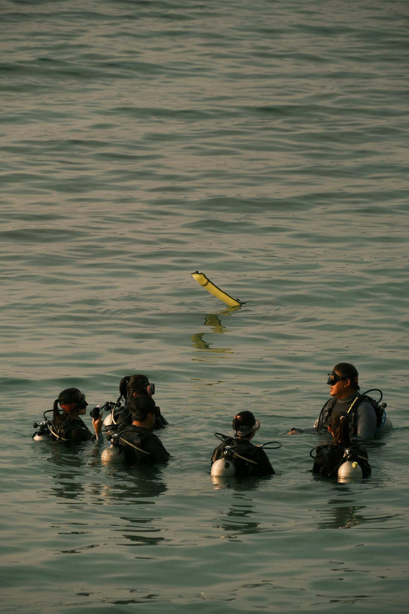 A group of scuba divers gathered in calm ocean waters preparing for an underwater adventure.